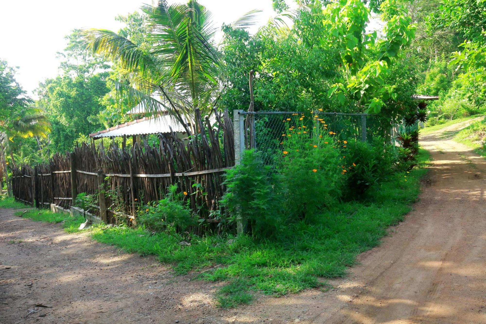 Hiriketiya Don Simon Villa Dikwella Luaran gambar