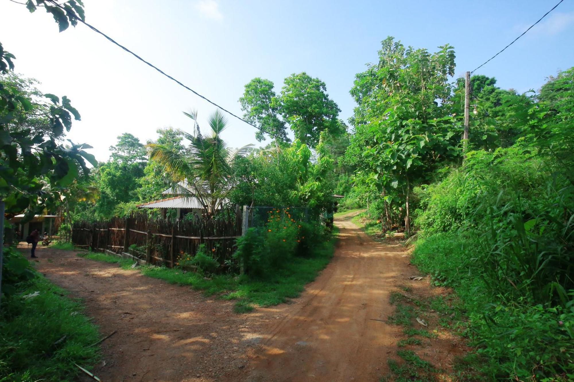 Hiriketiya Don Simon Villa Dikwella Luaran gambar